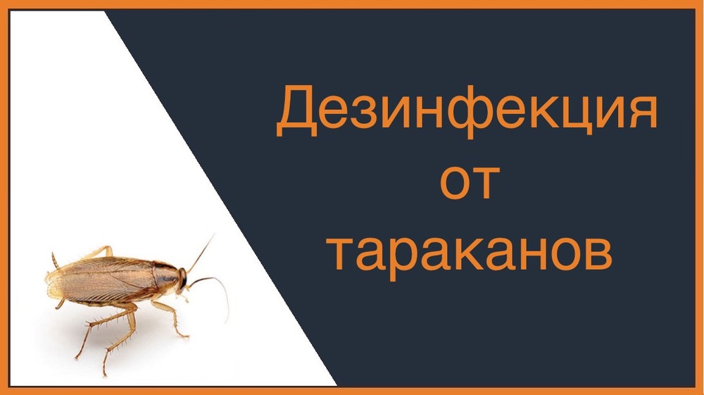 Дезинфекция от тараканов в Саратове