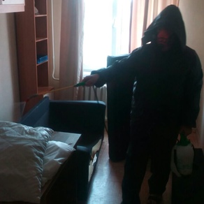 Выведение тараканов в квартире с гарантией в Саратове