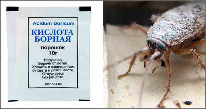 Борная кислота от тараканов – отзывы в Саратове